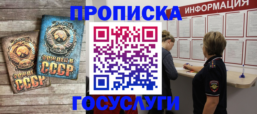 временная регистрация поиск в Жуковском